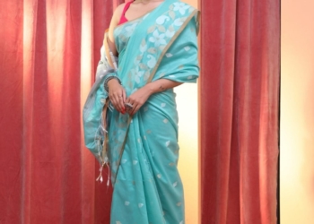 saree 4
